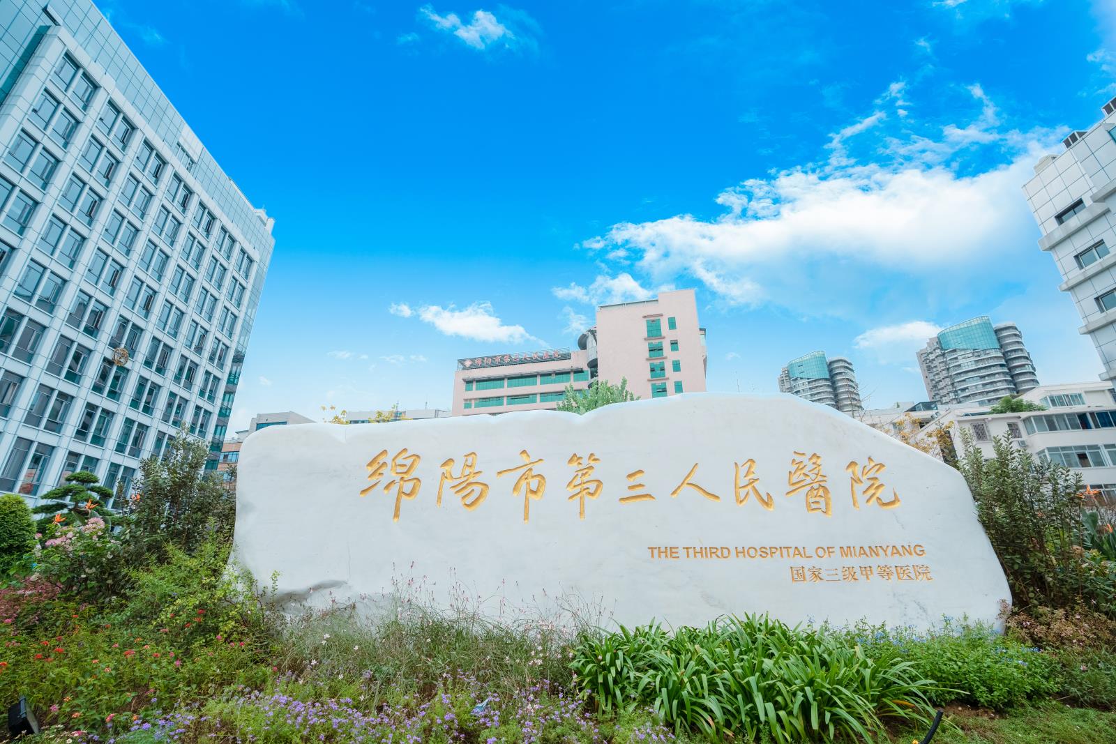 一纸感谢信，一份医患情——心身疾病一科医护人员柔心济世心系患者