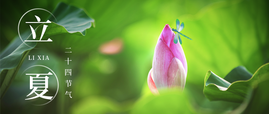 【二十四节气】今日，立夏