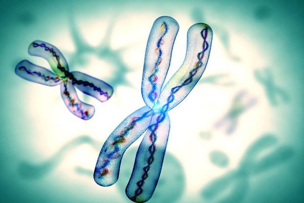 科普时间 | 最幸运的白血病：可控可治 生存期接近正常人