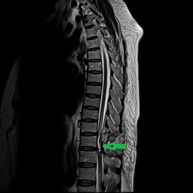 图片5.png 图片5.png