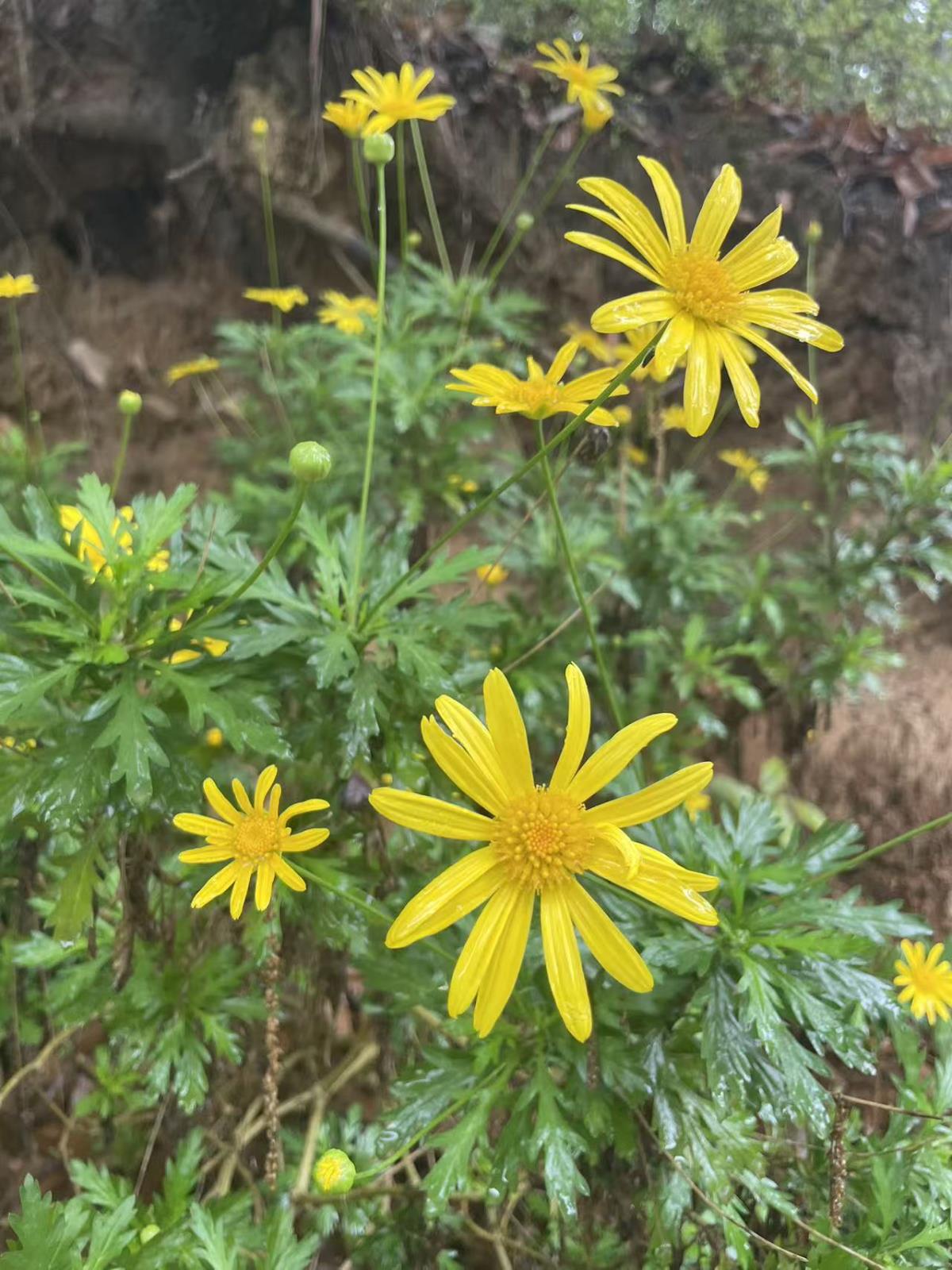 护心正当时｜气温起伏、情绪波动易伤“心”，这份科学指南请收好