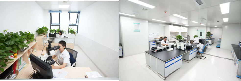 探秘网状纤维染色：病理诊断的关键钥匙