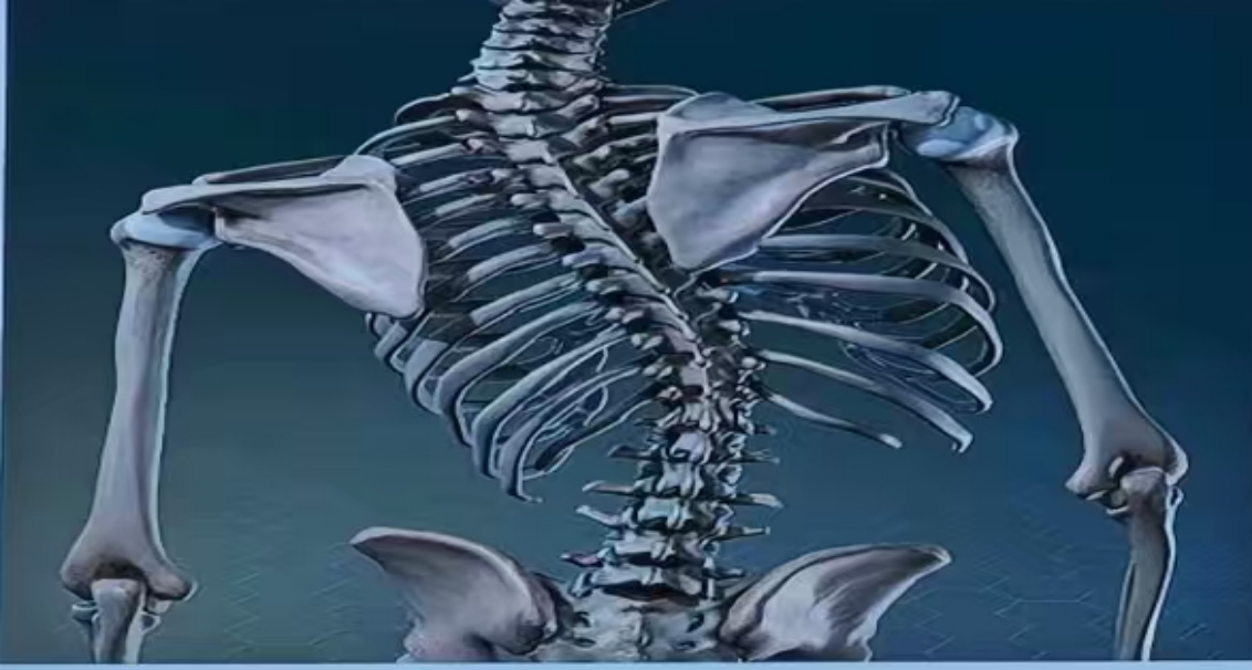 image.png image.png